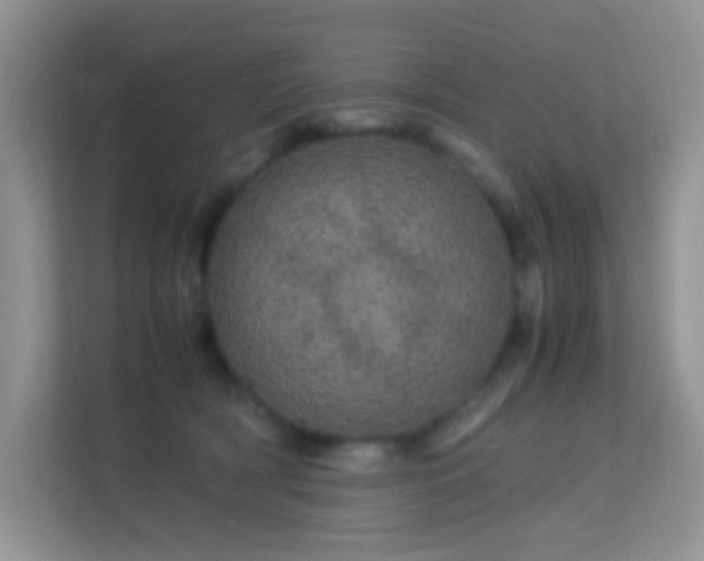 X0000113560418200909251102