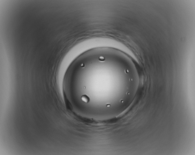 X0000113560419200909251102