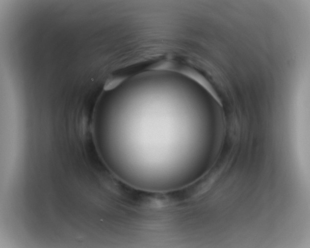 X0000113560420200909251102