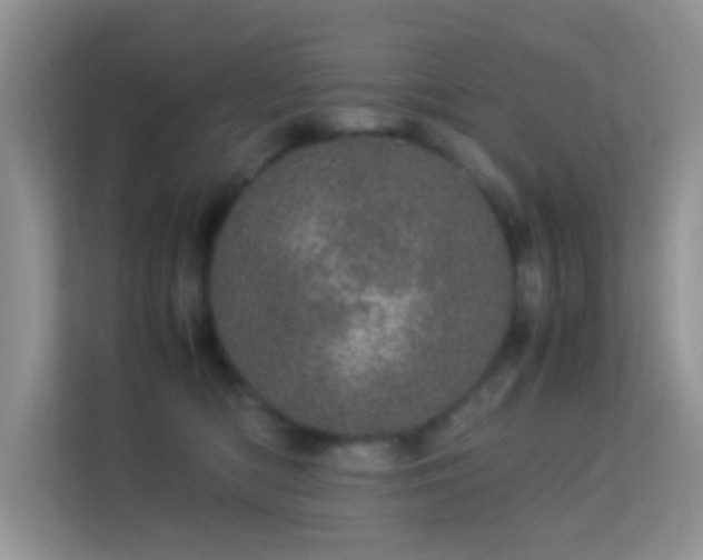 X0000113560422200909251102