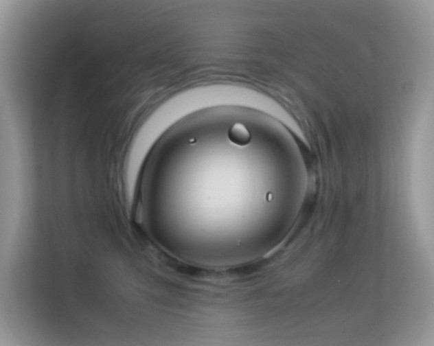 X0000113560423200909251102
