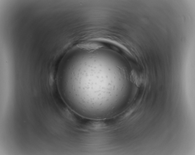 X0000113560424200909251102