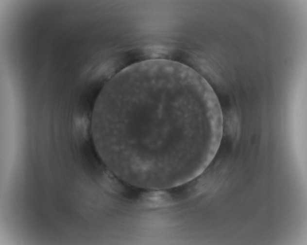 X0000113560427200909251102