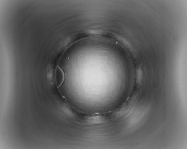 X0000113560428200909251102