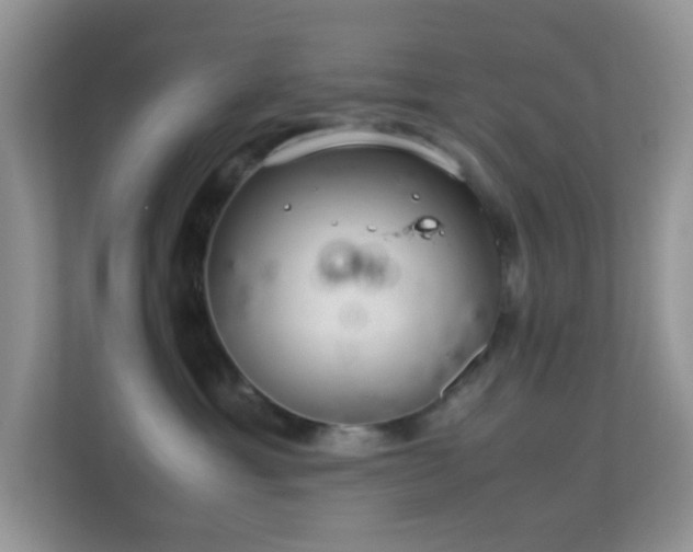 X0000113560429200909251102