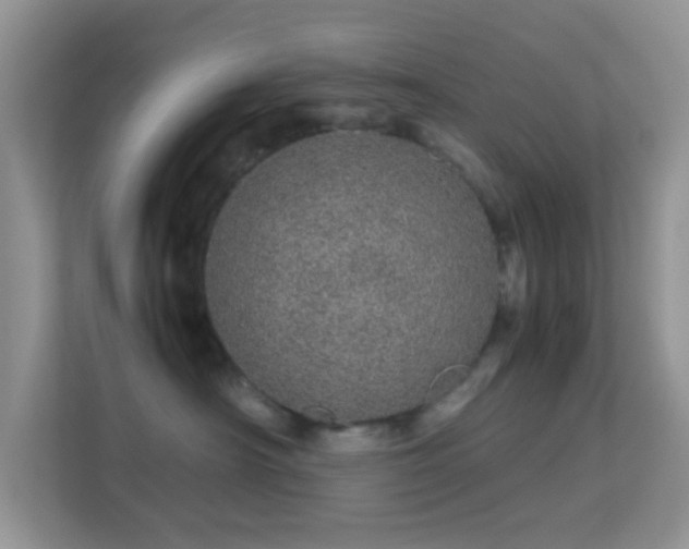 X0000113560430200909251102