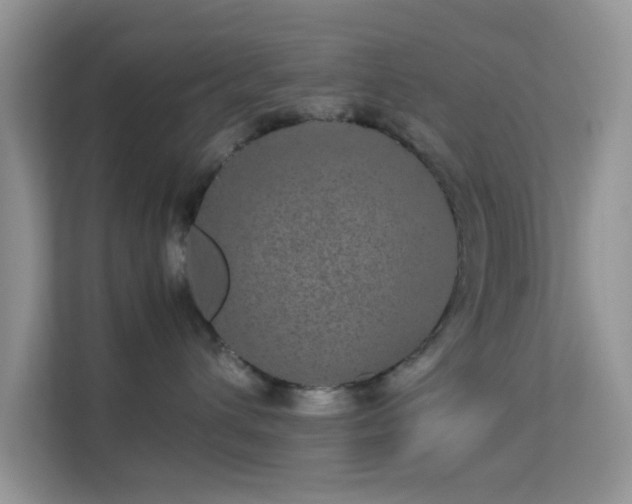 X0000113560432200909251102