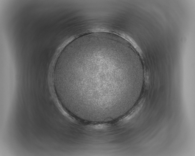 X0000113560433200909251102