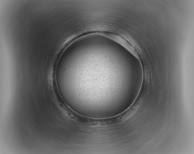 X0000113560434200909251102