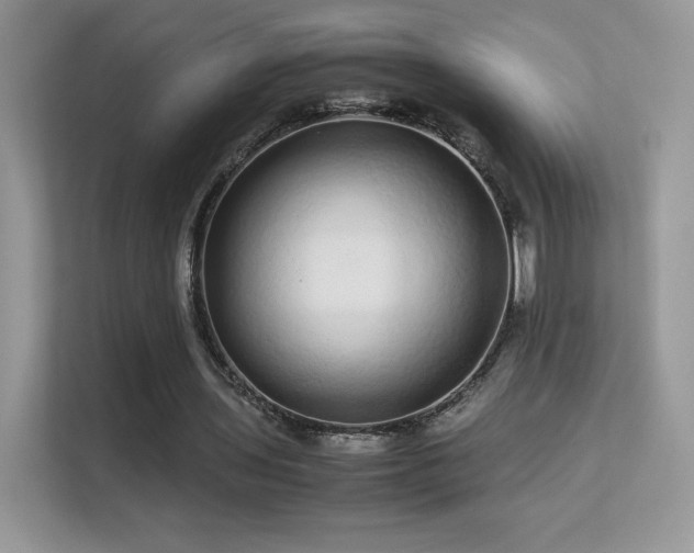 X0000113560435200909251102
