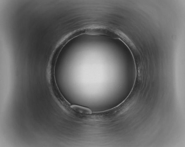 X0000113560436200909251102