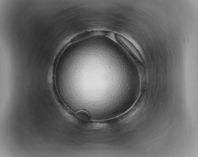 X0000113560437200909251102