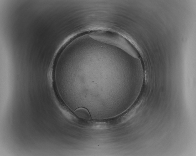 X0000113560438200909251102