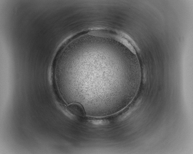 X0000113560439200909251102