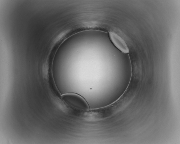 X0000113560440200909251102
