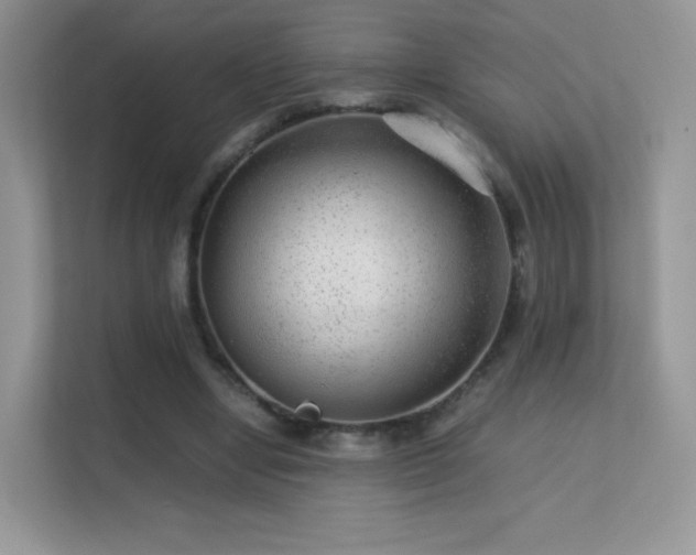 X0000113560442200909251102