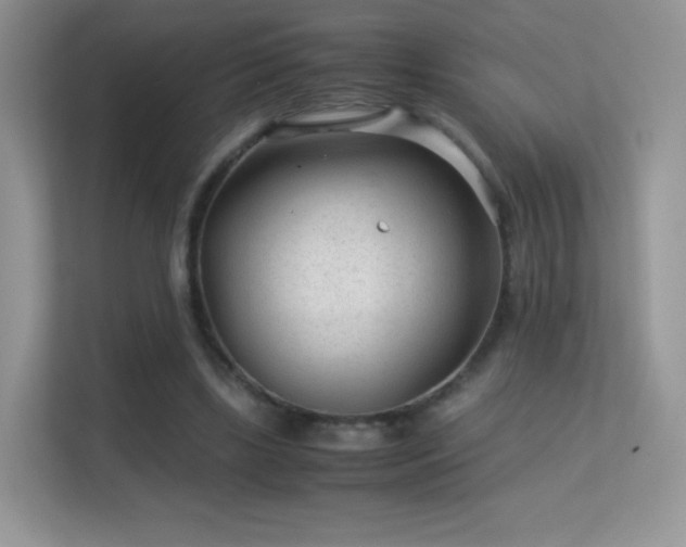 X0000113560443200909251102