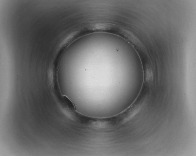 X0000113560444200909251102