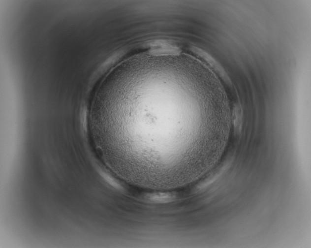 X0000113560445200909251102