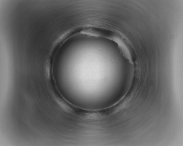 X0000113560446200909251102