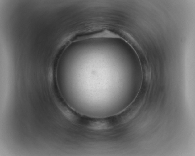 X0000113560447200909251102