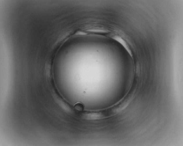 X0000113560449200909251102