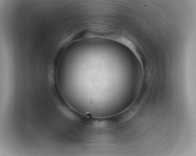 X0000113560450200909251102
