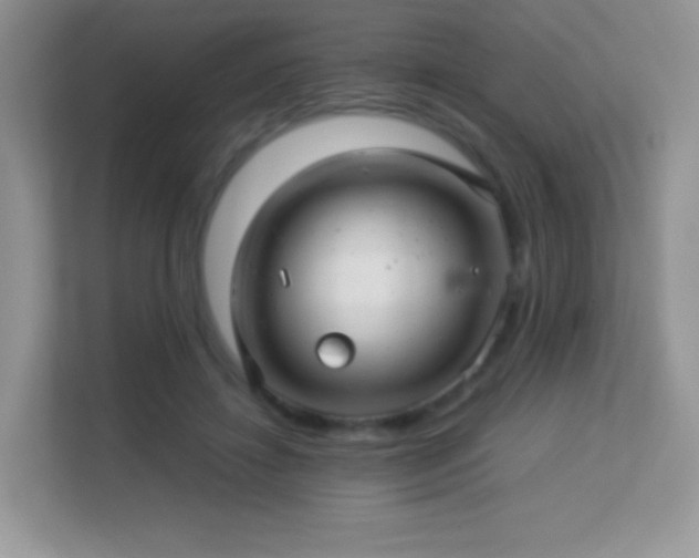 X0000113560452200909251102