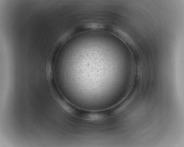 X0000113560453200909251102
