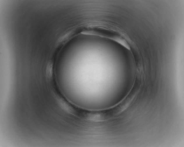X0000113560454200909251102