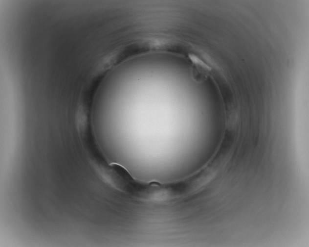 X0000113560456200909251102