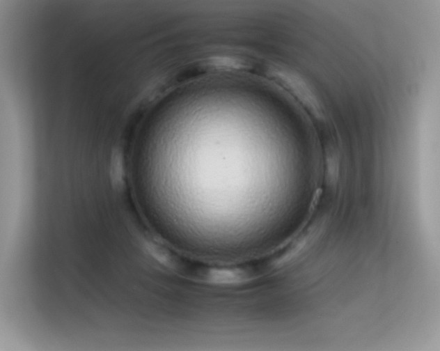 X0000113560457200909251102