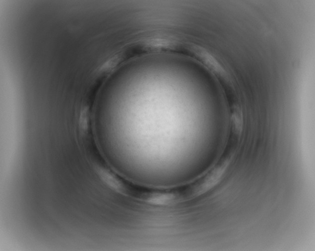 X0000113560458200909251102