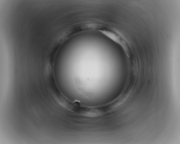 X0000113560459200909251102