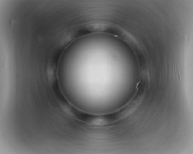 X0000113560460200909251102