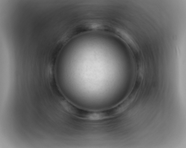 X0000113560461200909251102