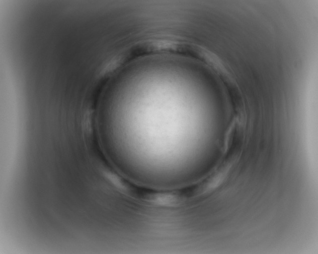 X0000113560462200909251102