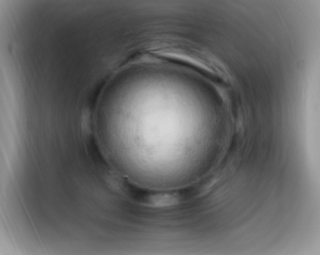 X0000113560465200909251102