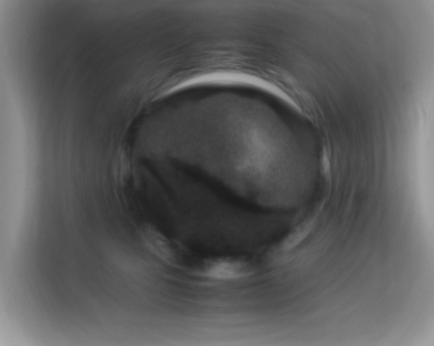 X0000113560471200909251102