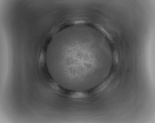 X0000113560475200909251102