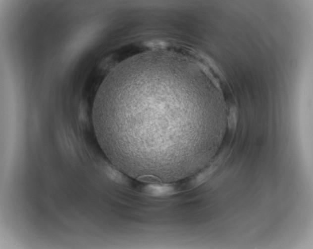 X0000113560477200909251102