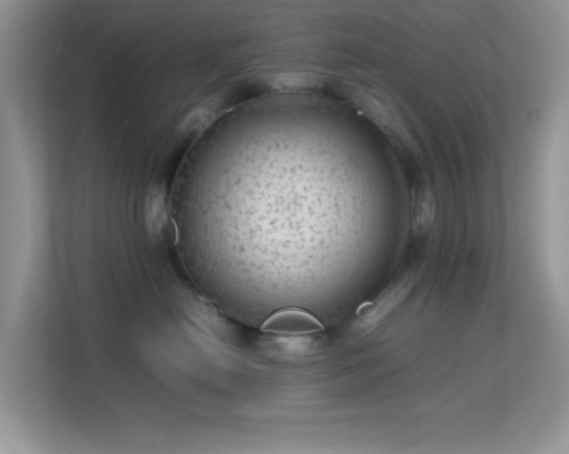 X0000113560478200909251102
