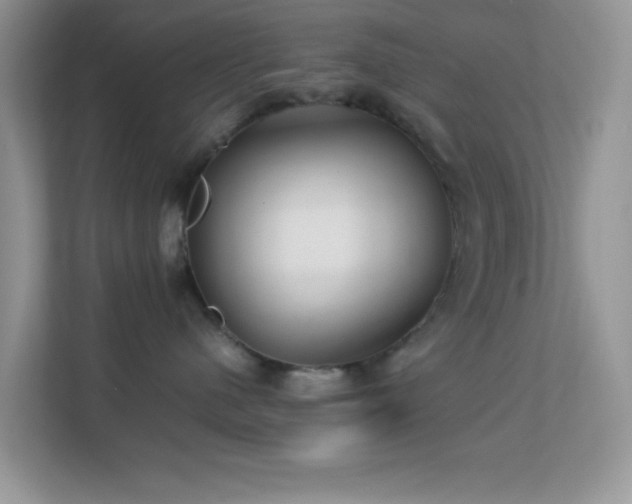 X0000113560480200909251102