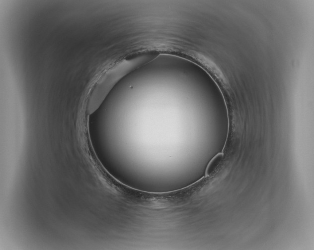 X0000113560481200909251102