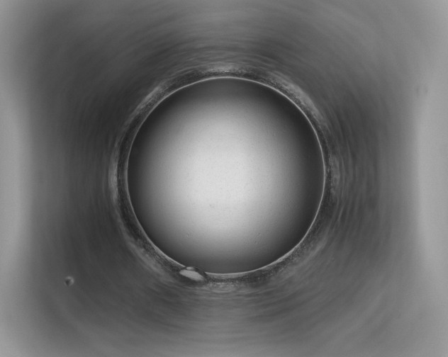 X0000113560482200909251101