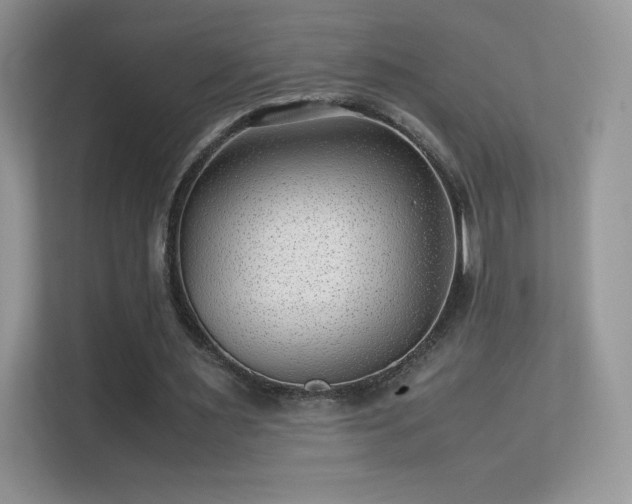X0000113560483200909251101