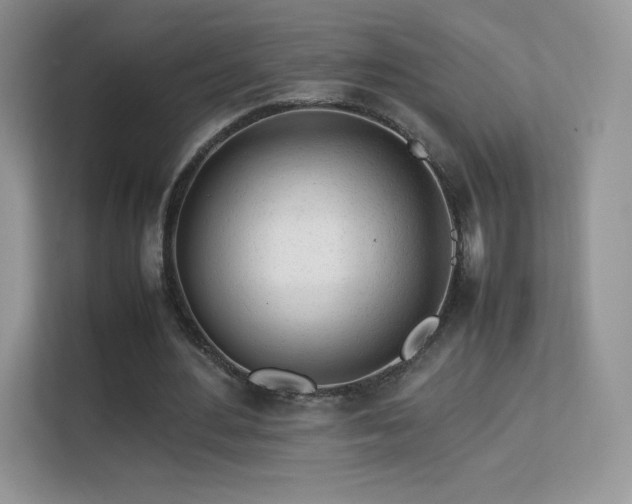 X0000113560484200909251101