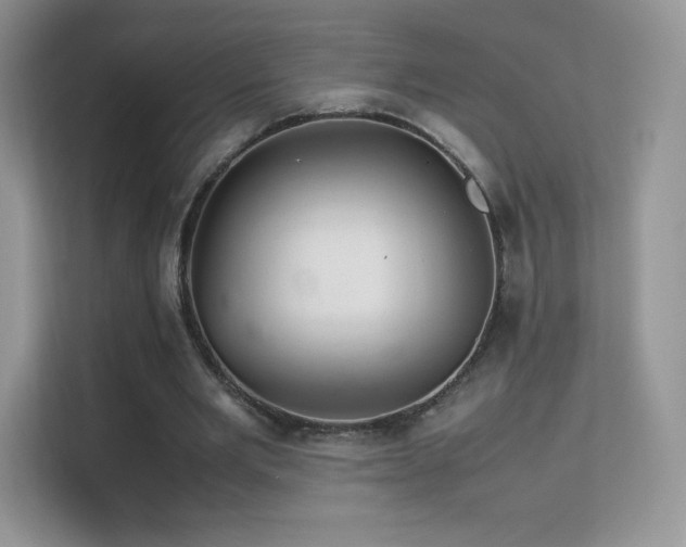 X0000113560485200909251101
