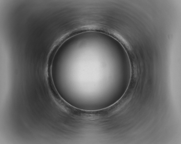 X0000113560486200909251101
