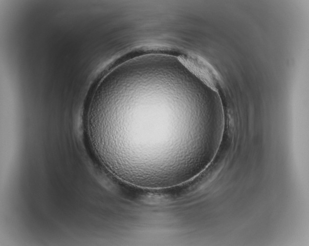 X0000113560487200909251101